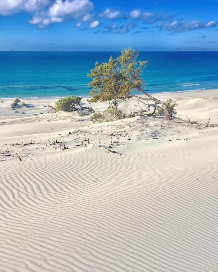 Case Vacanze Il Sogno 2 Porto Pino Extérieur photo